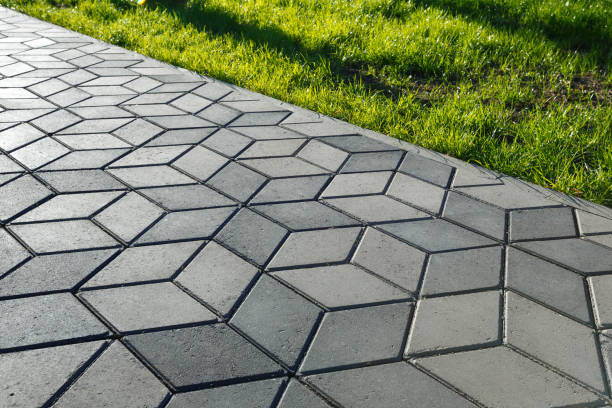 Best Driveway Paving Contractor  in Lacon, IL