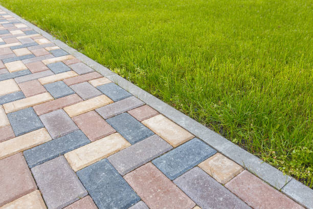 Best Custom Driveway Pavers  in Lacon, IL